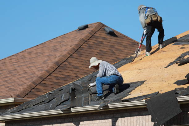 Best Steel Roofing  in Breckenridge, MN