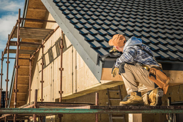 Best Asphalt Shingles Roofing  in Breckenridge, MN