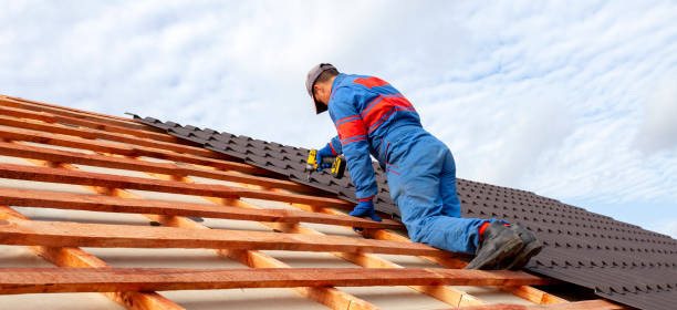 Best Wood Shake Roofing  in Breckenridge, MN