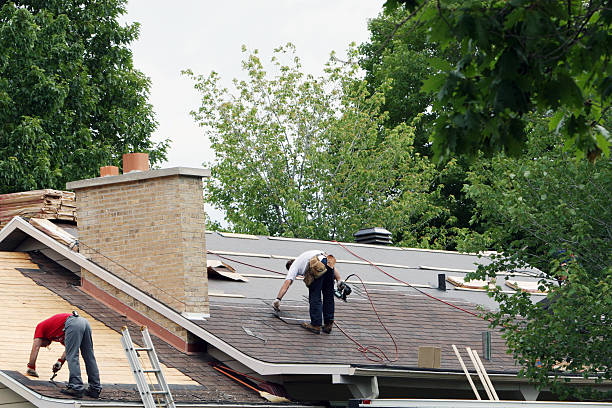 Best Roof Maintenance and Cleaning  in Breckenridge, MN